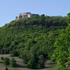 ...die Burg Hohen Neuffen