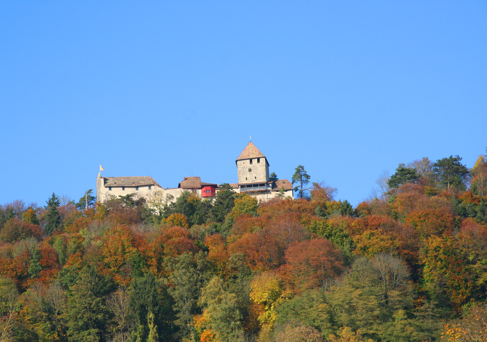 Die Burg Hohenklingen....