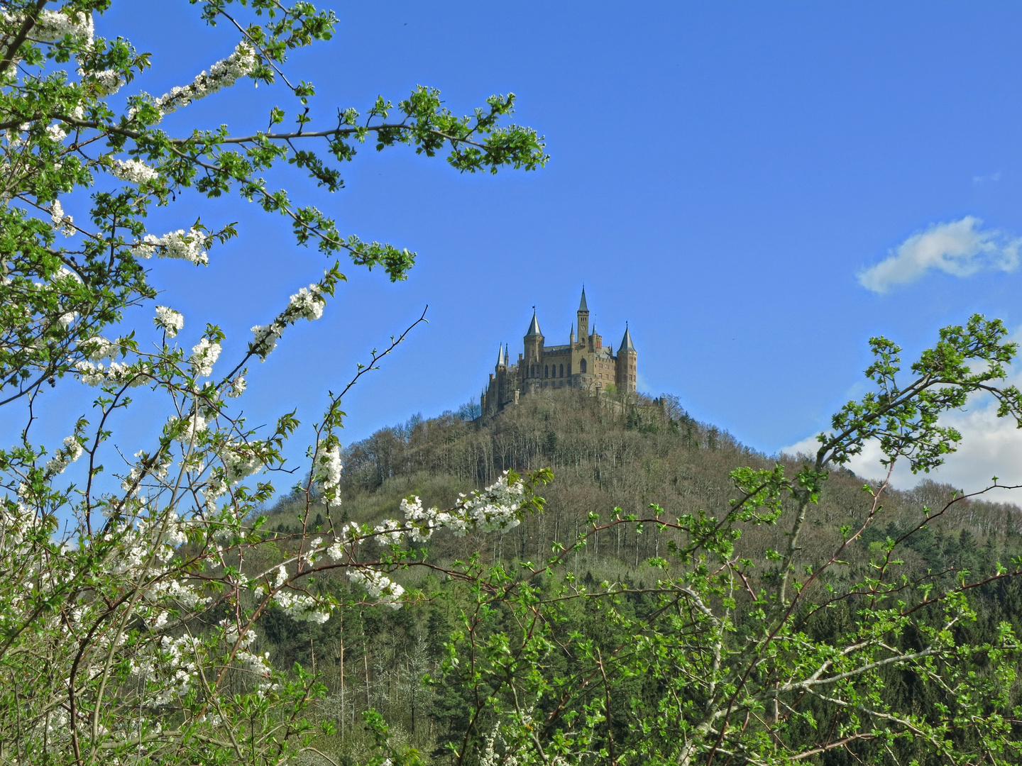 Die Burg Hohenzollern...