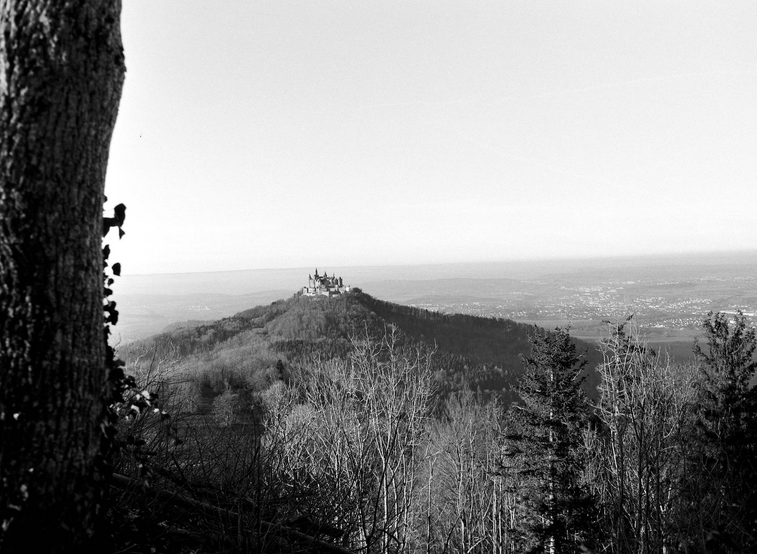 Die Burg Hohenzollern im Nachmittagslicht