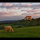 Die Burg im Lichte ihrer gleichmütigen Betrachterin