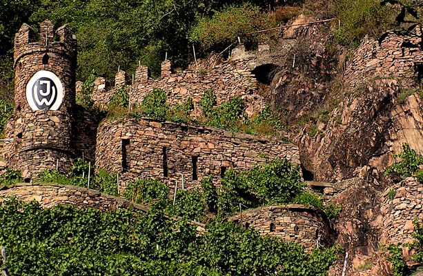 Die Burg im Weinberg