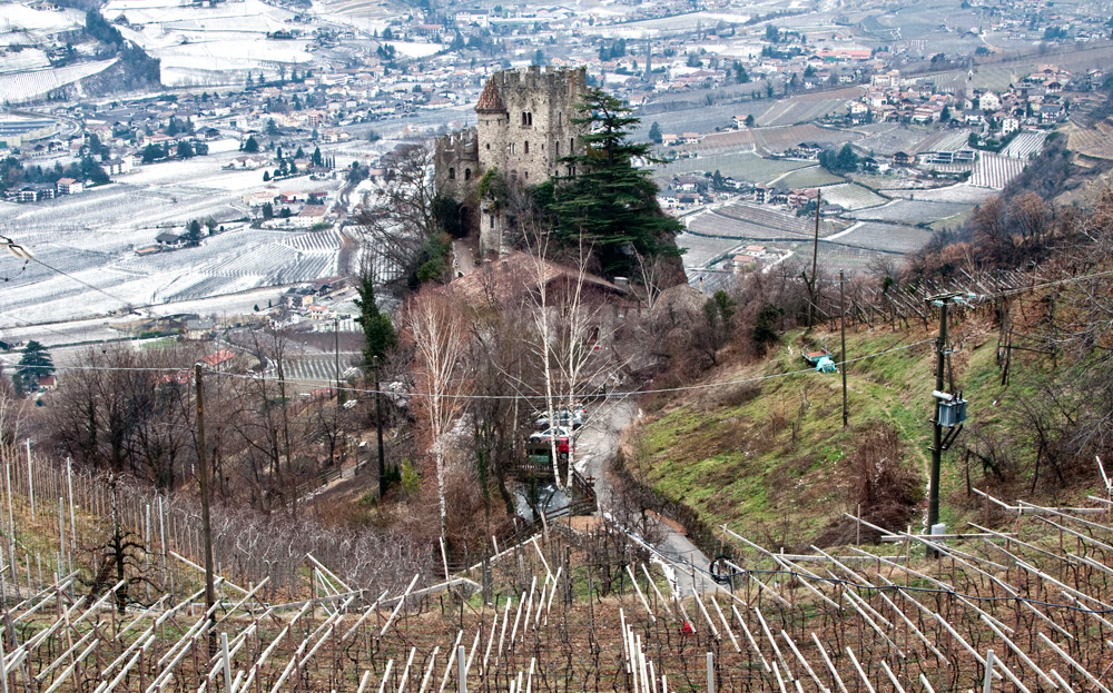 DIE BURG IM WEINBERG