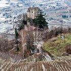 DIE BURG IM WEINBERG