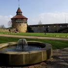 die Burg in Esslingen im Frühling