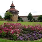 die Burg in Esslingen im Sommer