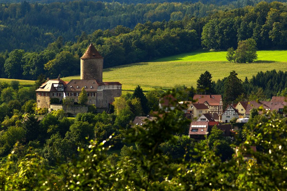 Die Burg in Oppenweiler(Württ.)