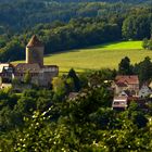 Die Burg in Oppenweiler(Württ.)