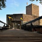 Die Burg Landeck ist die Ruine einer Höhenburg südwestlich von Landau, bei Klingenmünster...