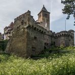 Die Burg Liechtenstein (2)