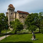 Die Burg Liechtenstein (4)