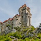 Die Burg Liechtenstein (5)