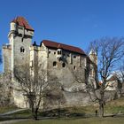 Die Burg Liechtenstein