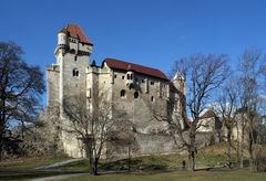 Die Burg Liechtenstein