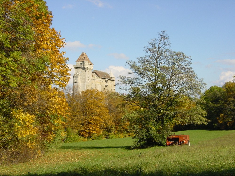 Die Burg Liechtenstein