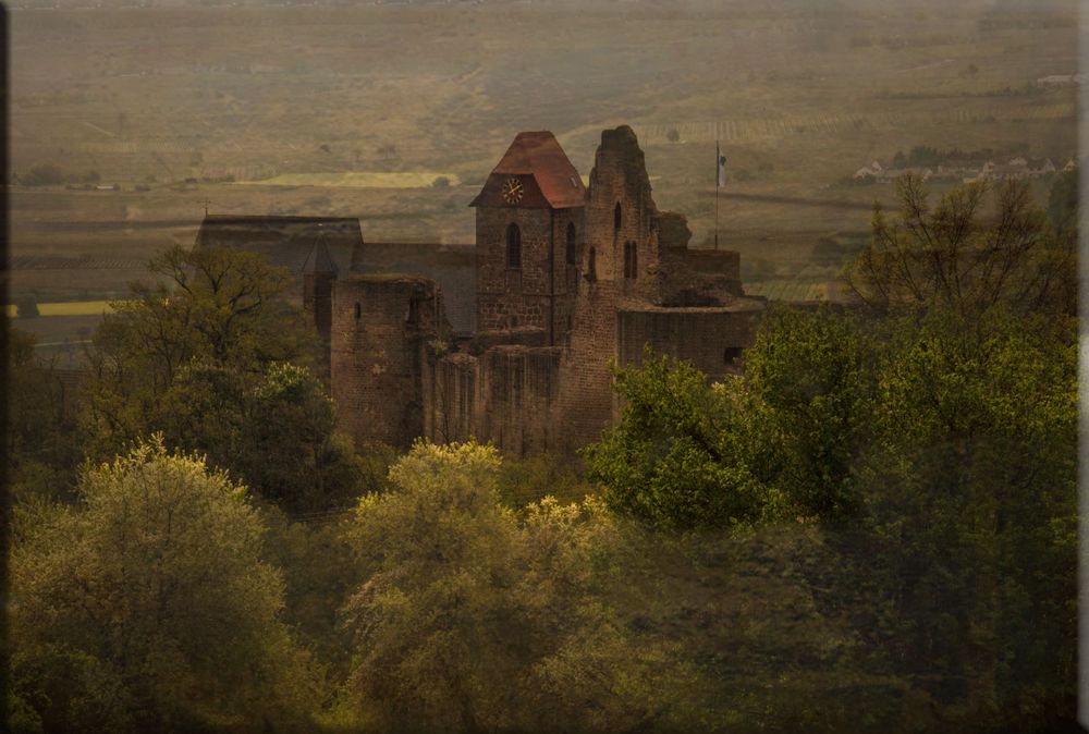 DIE BURG NEULEININGEN Foto & Bild deutschland, europe, rheinland