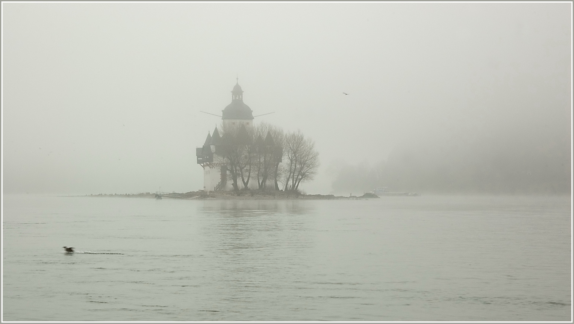 Die Burg Pfalzgrafenstein im Rhein