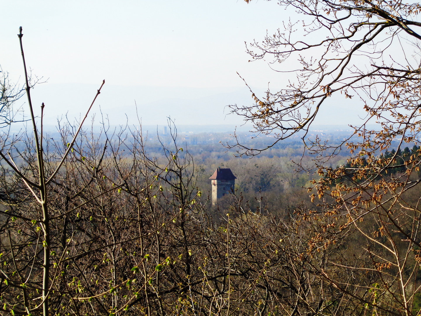 Die Burg Sponeck aus der Ferne nach Nordwesten