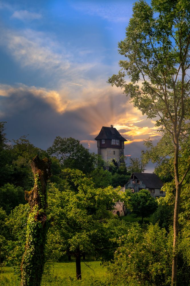 Die Burg Sponeck bei Burkheim am Kaiserstuhl 