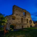 Die Burg Stapelburg (1)