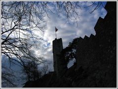 die Burg Stein in Baden AG
