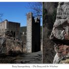 Die Burg und ihr Wächter