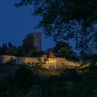 Die Burg von Burglengenfeld