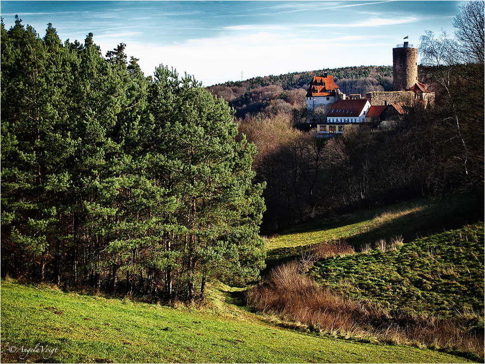 Die Burg von Burgthann