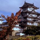 Die Burg von Himeji (2) 