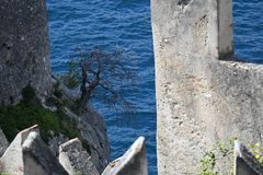 Die Burg von Malcesine