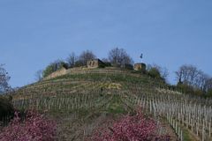 Die Burg Weinsberg. Auch Weibertreu genannt.
