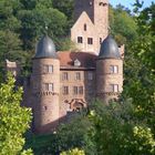 Die Burg Wertheim...