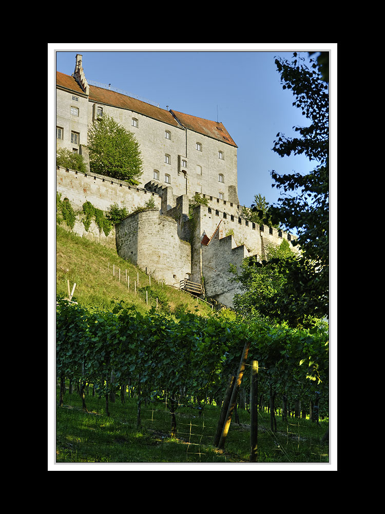 Die Burghauser Burg mit Weinberg