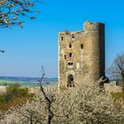 Die Burgruine Arnstein