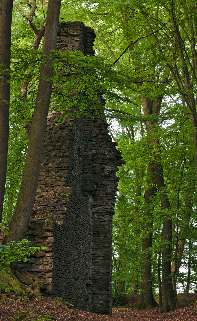 Die Burgruine imZauberwald.