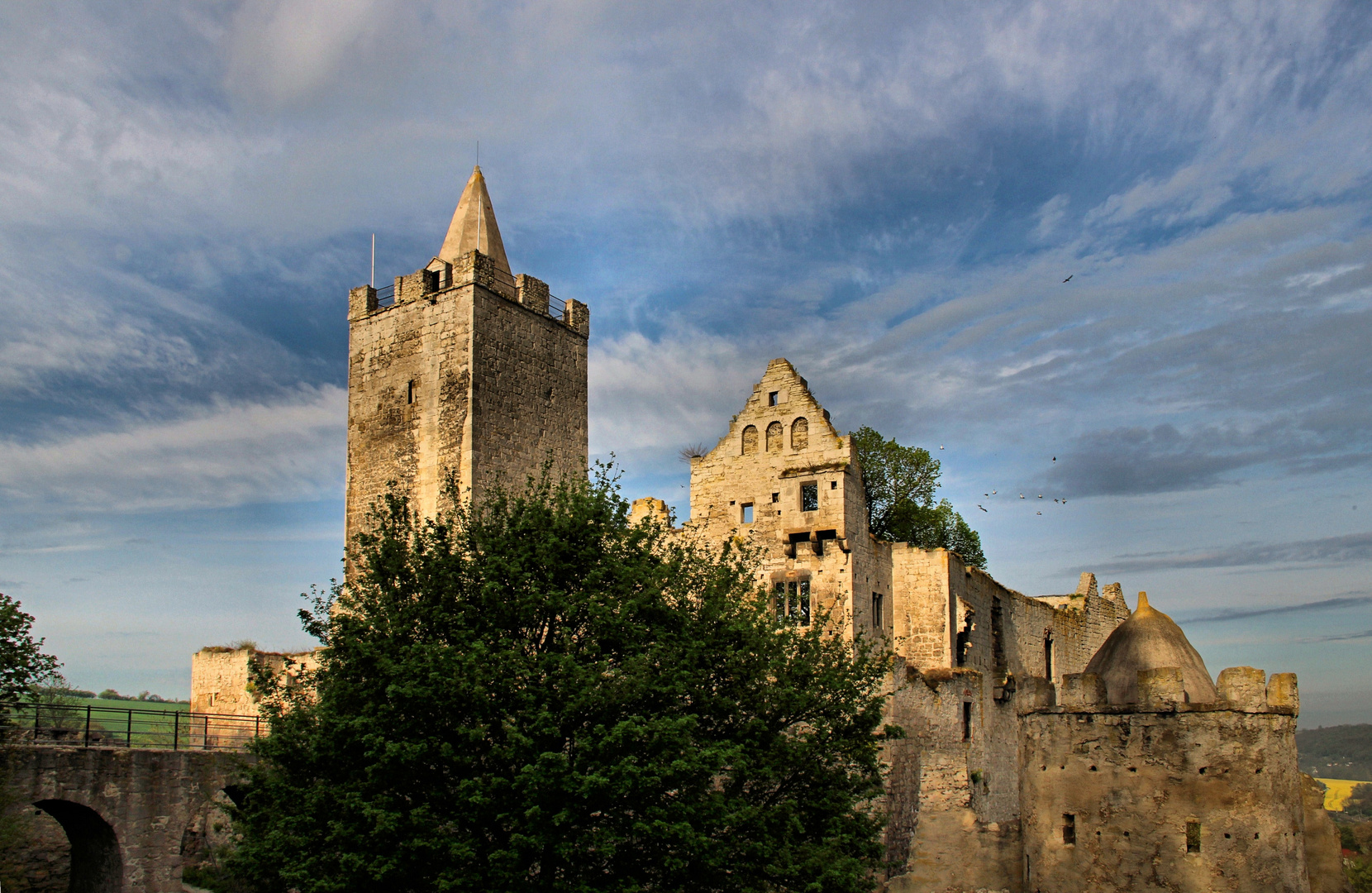 Die Burgruine Rudelsburg