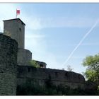 -die Burgruine Trimburg in Ufr.-