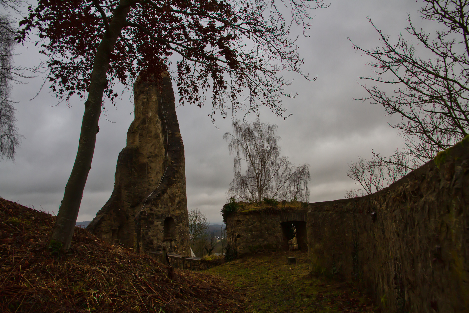 Die Burgruine von Dollendorf in der Eifel