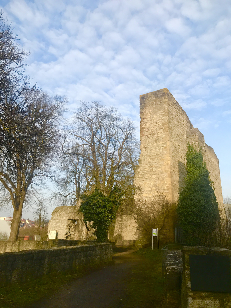 die Burgruine von Hofen  