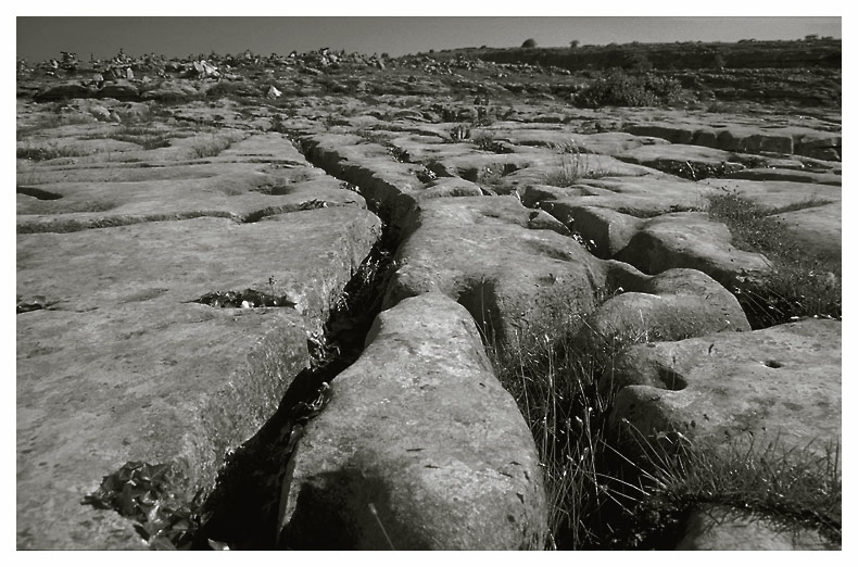 Die Burren