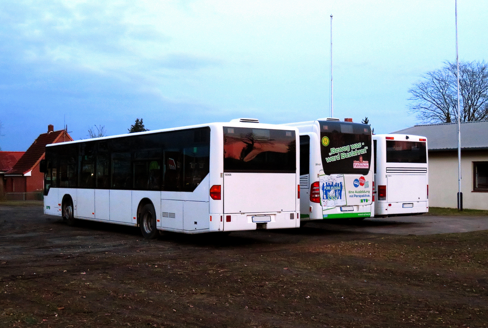 Die Busse von hinten .... 