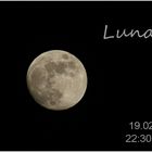 Die Chance nutzen - Luna -