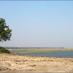 Die Chobe Riverfront...