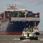 die "CMA CGM COLUMBA"...