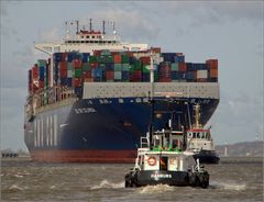 die "CMA CGM COLUMBA"...