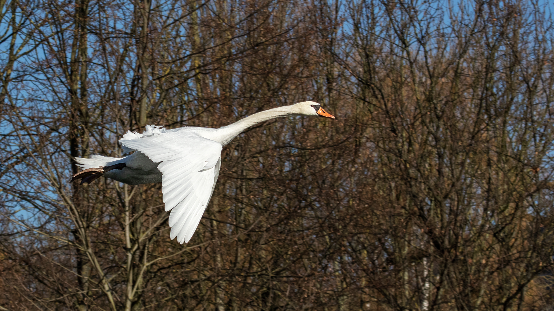 Die Concorde lässt grüßen