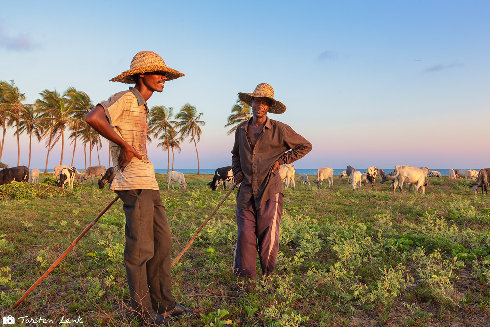 Die Cowboys von Ouidah