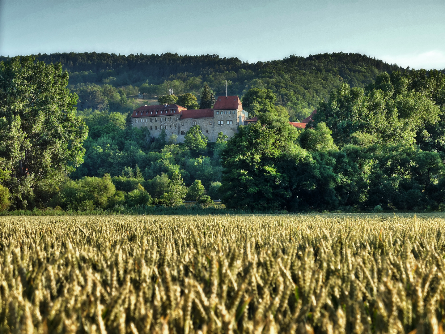 Die Creuzburg im frühen Morgenlicht