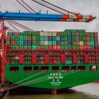 die CSCL bei Tag