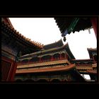 Die Dächer des Lamatempels in Beijing